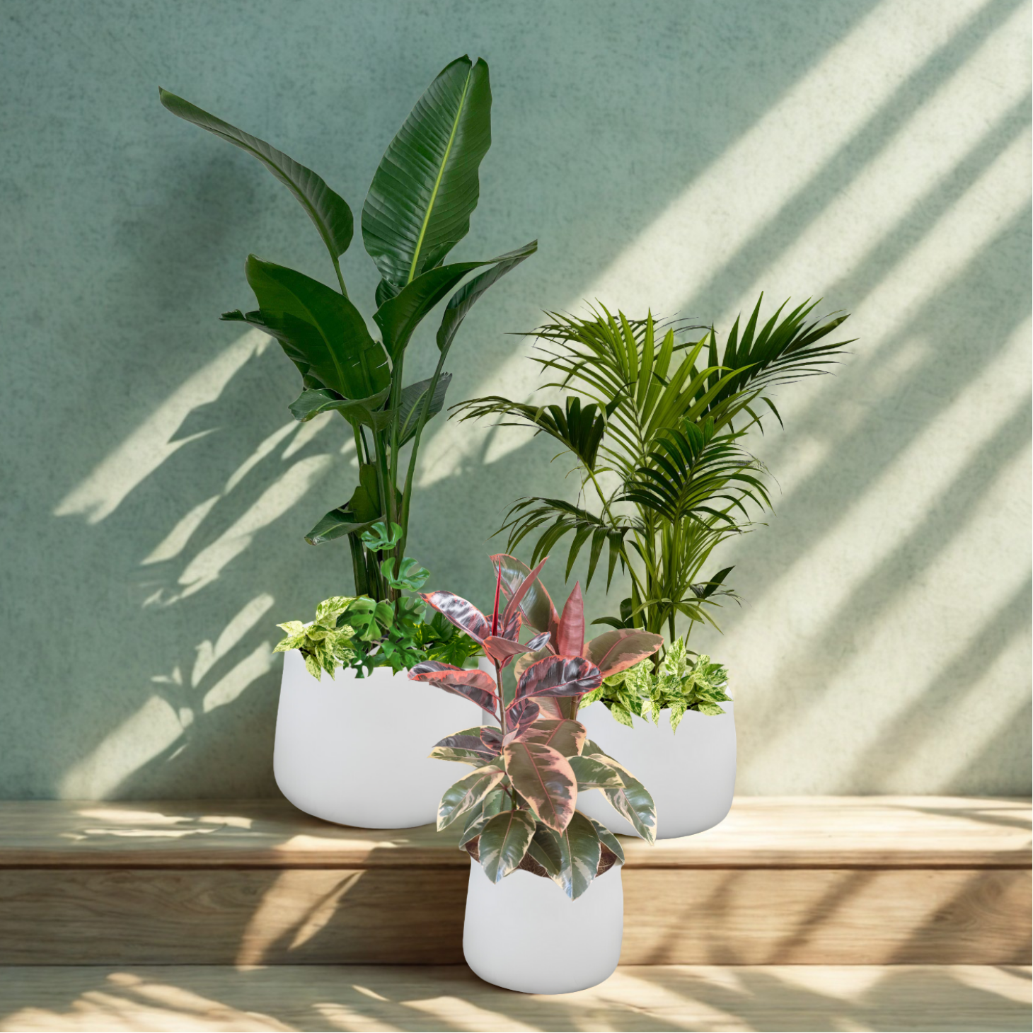 A Touch of the Tropics Trio