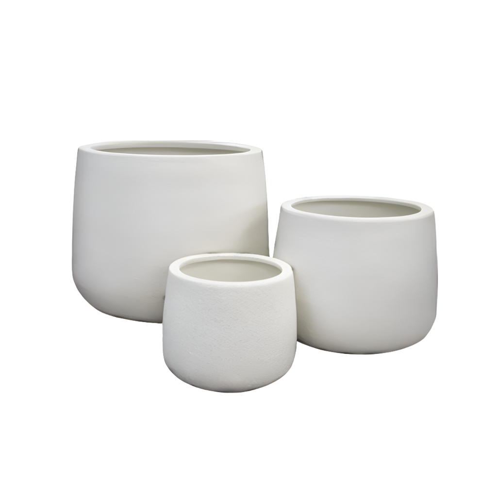 A Touch of the Tropics Trio