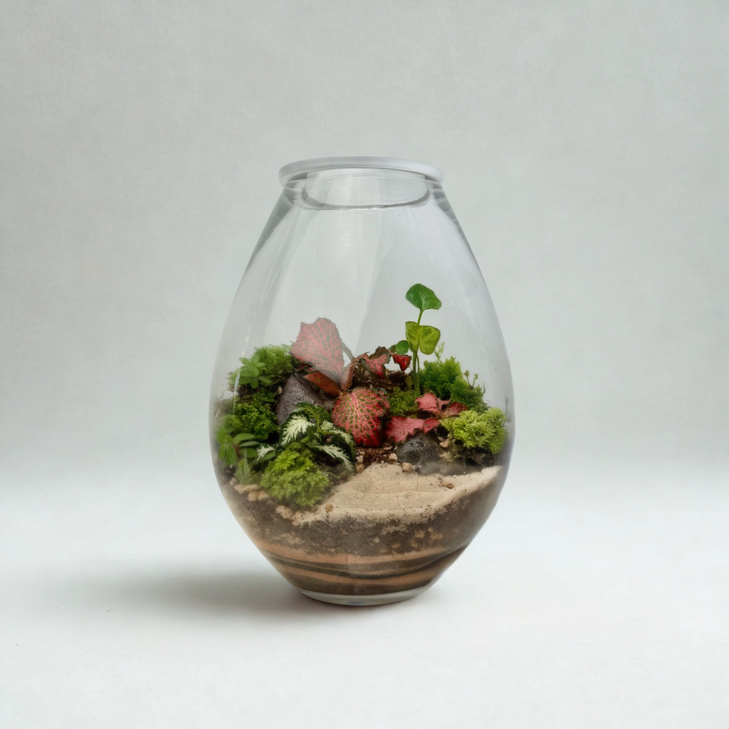 Terrarium - The Classic