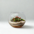 Terrarium - The Petite