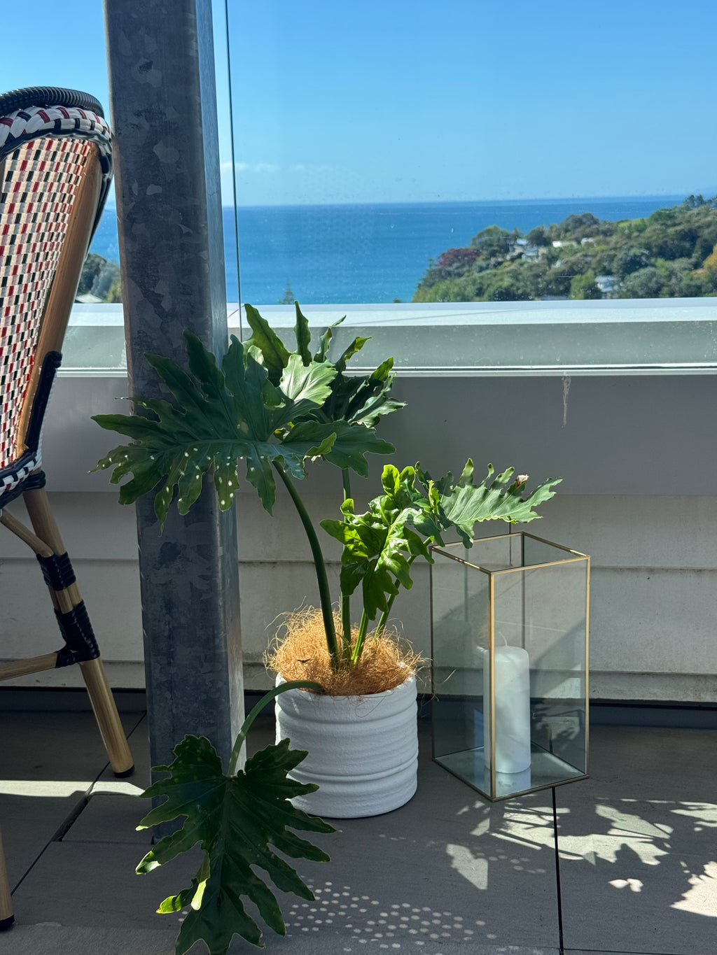 The Showstopper Plant Hire Collection