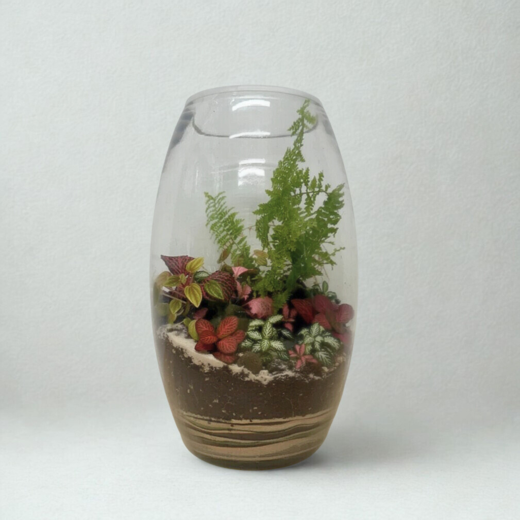 Terrarium - The Showstopper