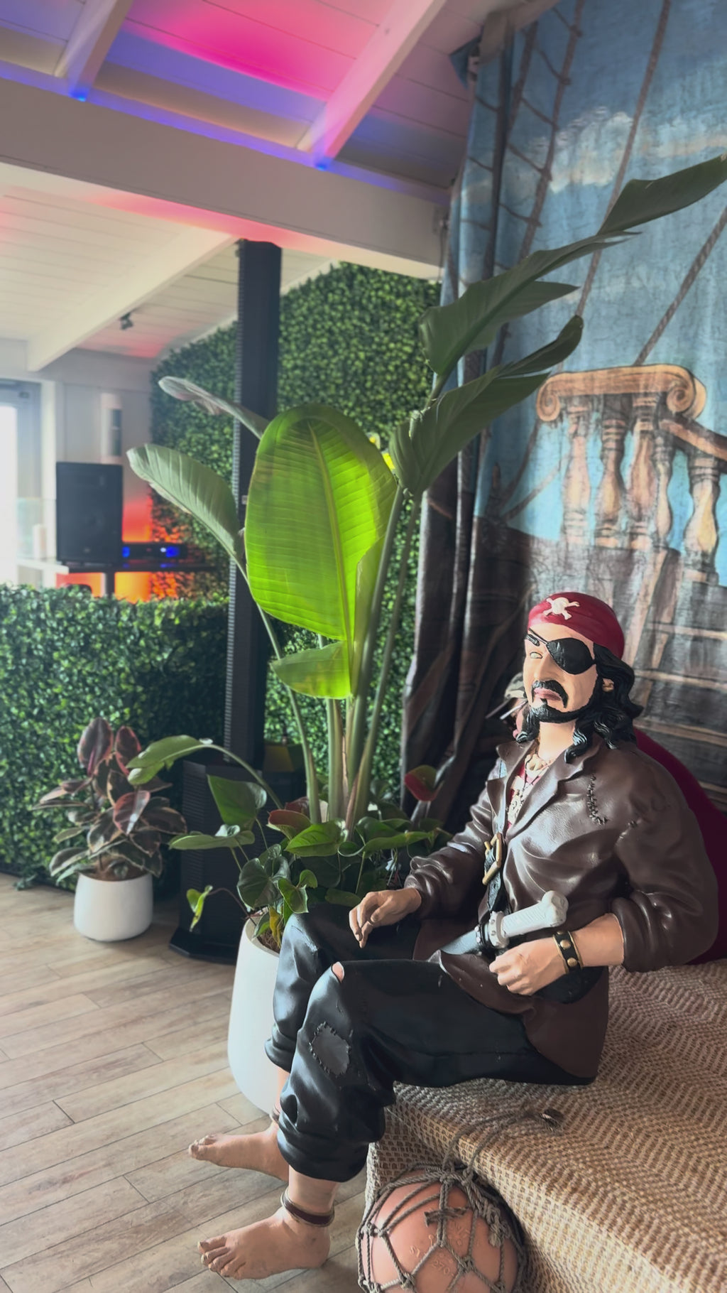 The Showstopper Plant Hire Collection