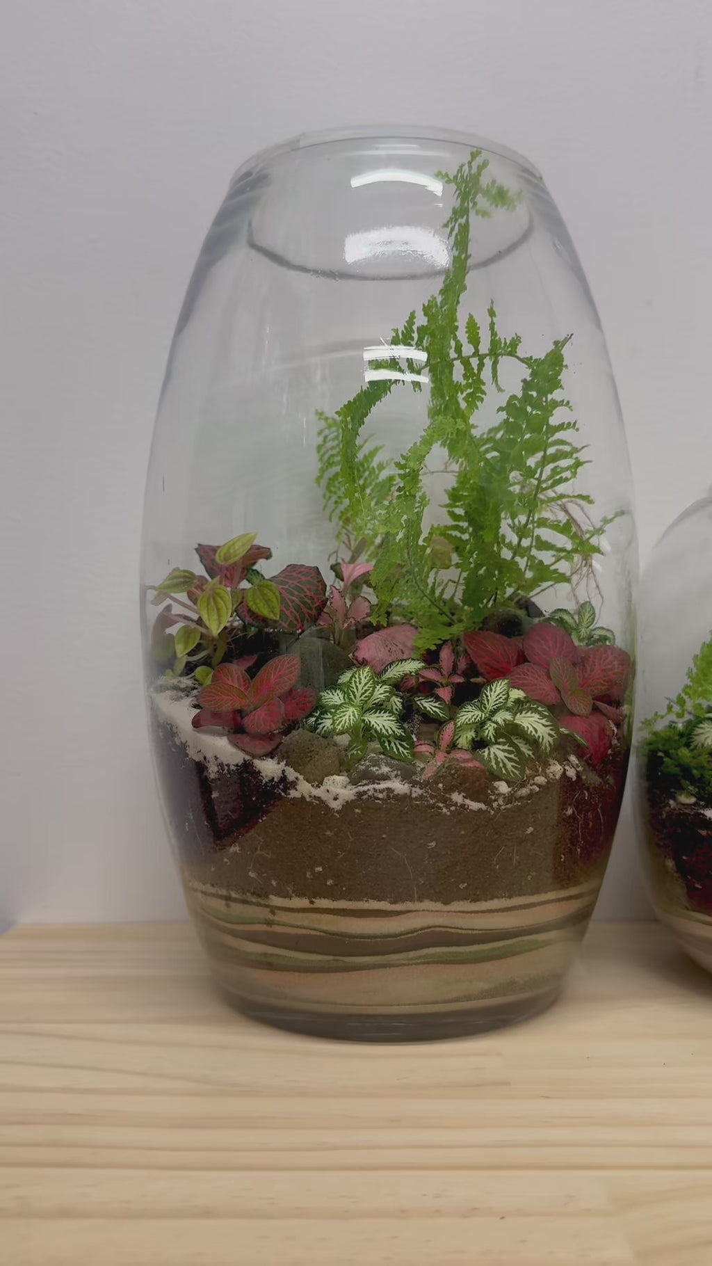 Terrarium - The Showstopper