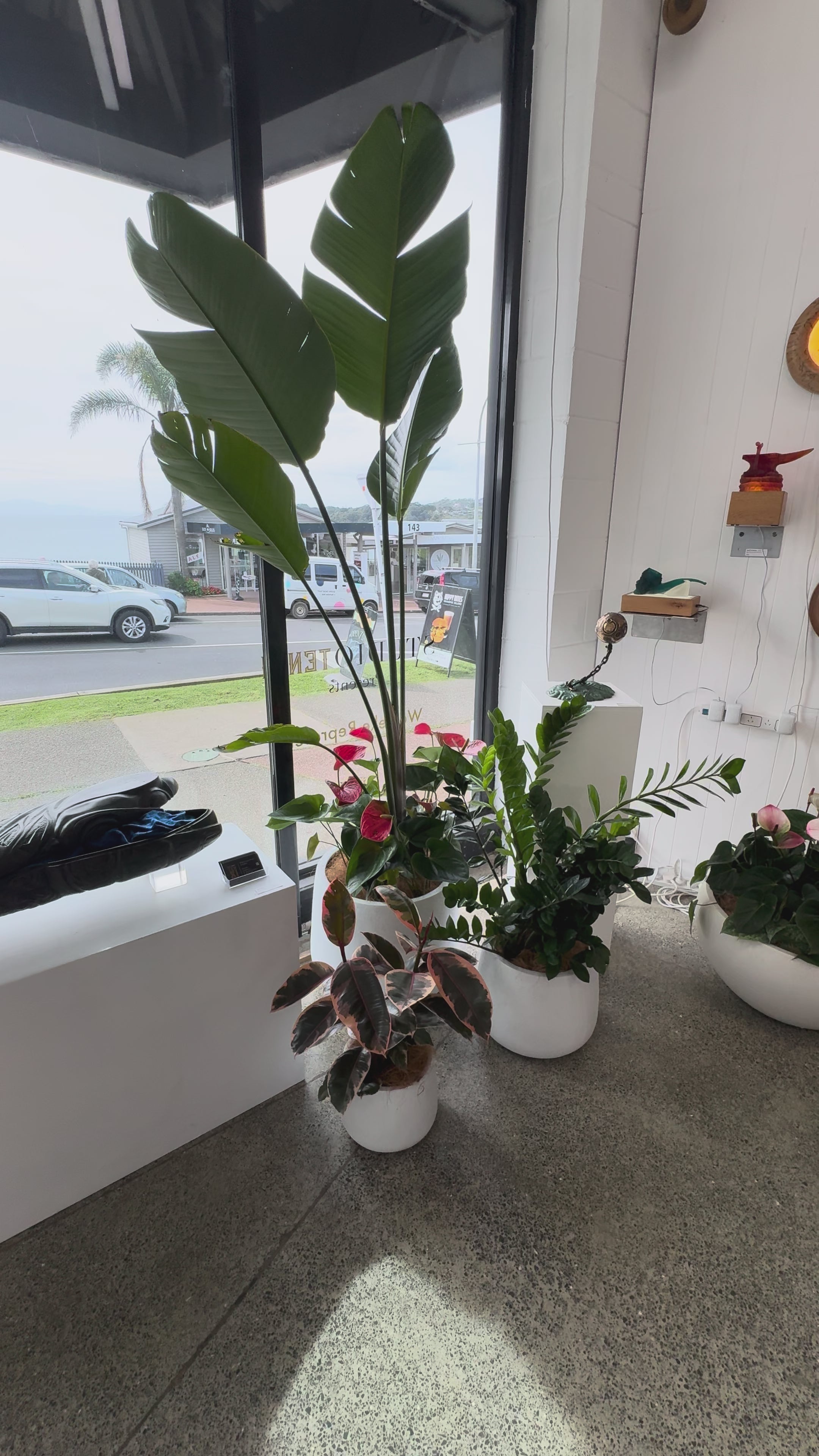 Crimson Paradise Trio